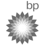 BP Logo | Touch Screen Solutions